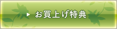 お買上げ10大特典